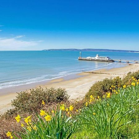 Bournecoast: Lovely Annex With Patio Nr Beach-5286 ボーンマス エクステリア 写真