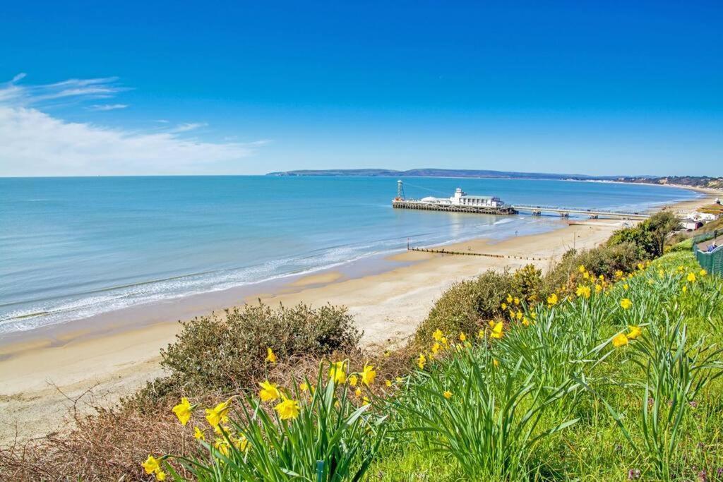 Bournecoast: Lovely Annex With Patio Nr Beach-5286 ボーンマス エクステリア 写真